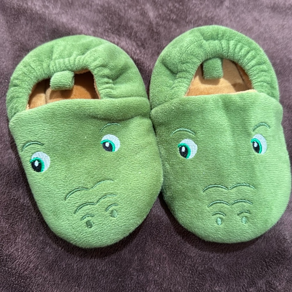Dinosaur 🦖 slippers (1)